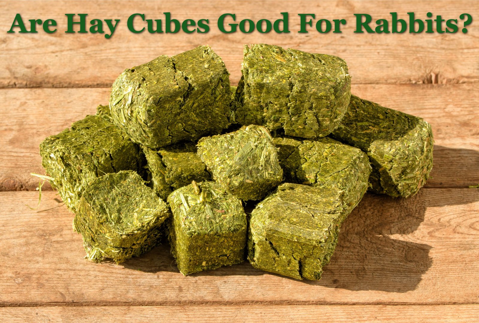 Are Hay Cubes Good For Rabbits? The Rabbit Hop