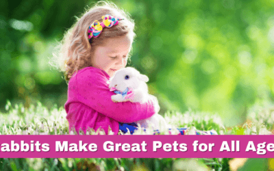 Rabbits Make Great Pets for All Ages