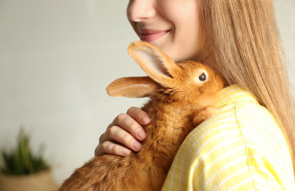 rabbits are great pets