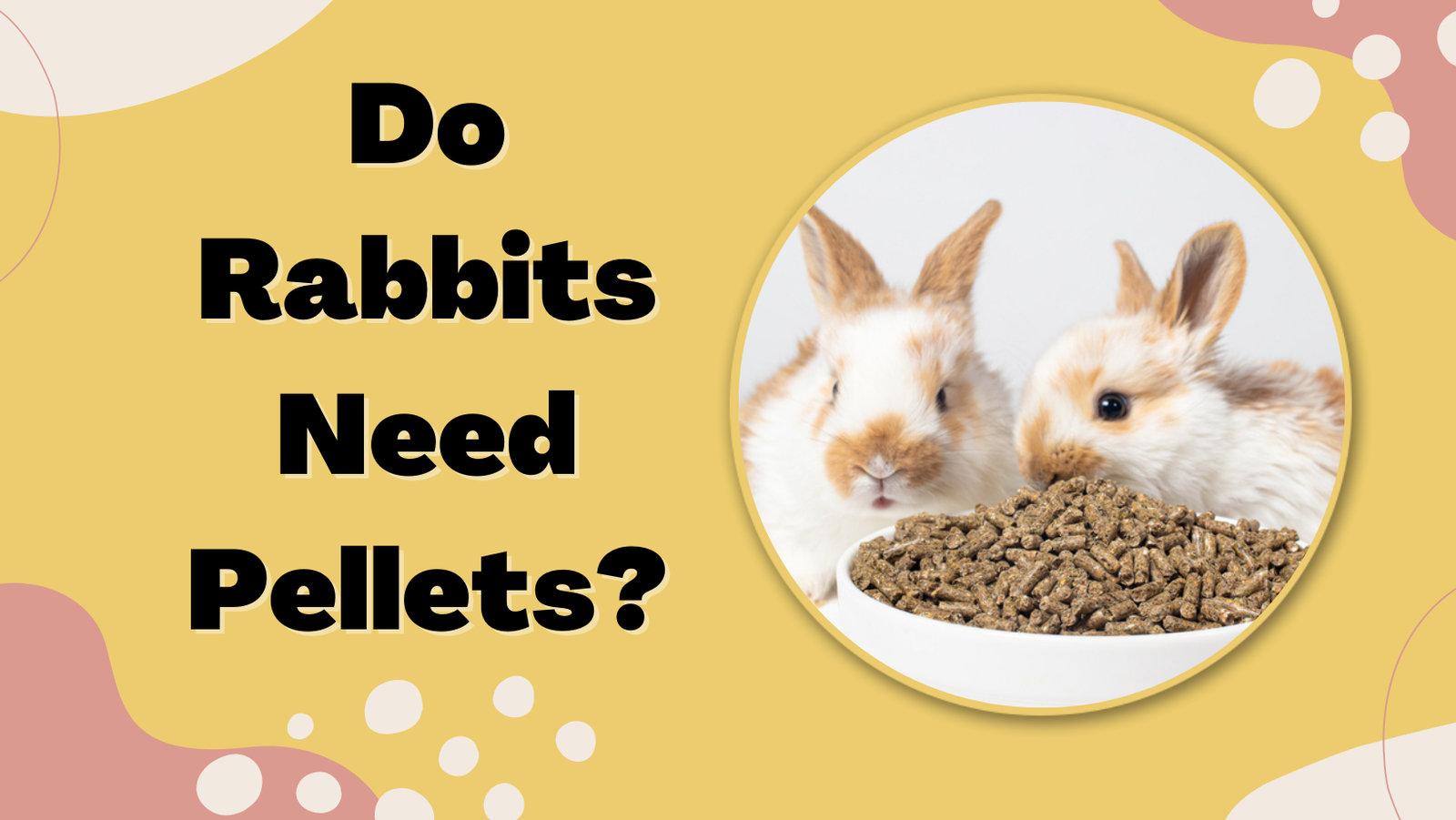 Do Rabbits Need Pellets? - The Rabbit Hop