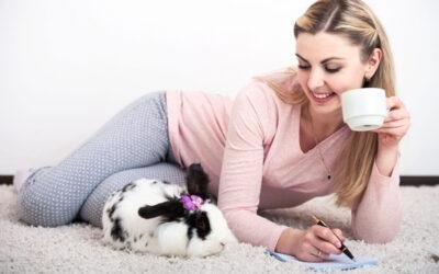 Things New Rabbit Owners Need to Know
