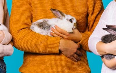 Prevent Rabbit Injuries in 9 Ways