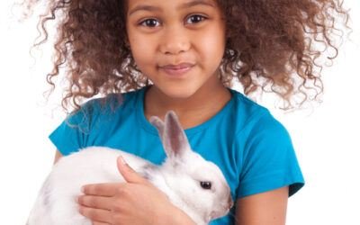 Kid holding an indoor pet rabbit