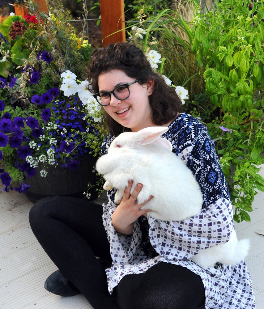 Flemish Giant Rabbit: The Gentle Giant Prevent rabbit injuries