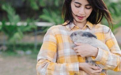 An owner carrying her bunny