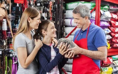 Things new rabbits owners need to know