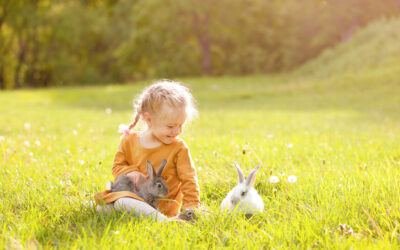 We Added a Pet Rabbit To Our Home