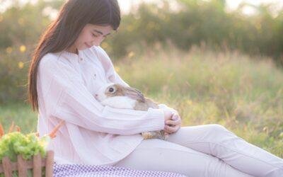 rabbit as therapy