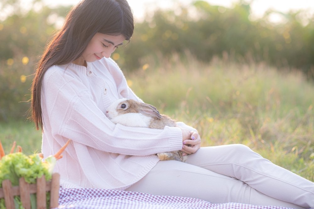 rabbit as therapy