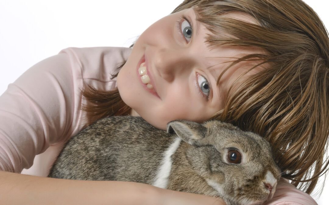 Rabbit as therapy