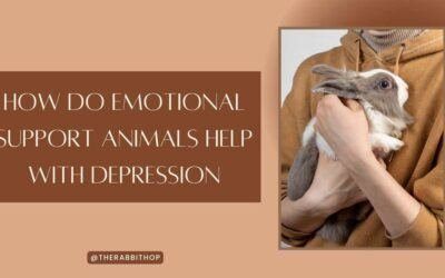 How Do Emotional Support Animals Help With Depression