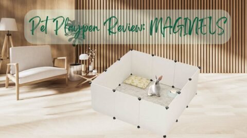 Title-Pet Playpen Review MAGINELS