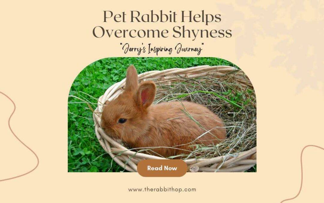 Pet Rabbit Helps Overcome Shyness: Jerry’s Inspiring Journey