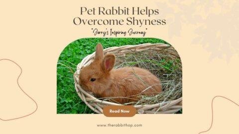 Title-Pet Rabbit Helps Overcome Shyness Jerry's Inspiring Journey