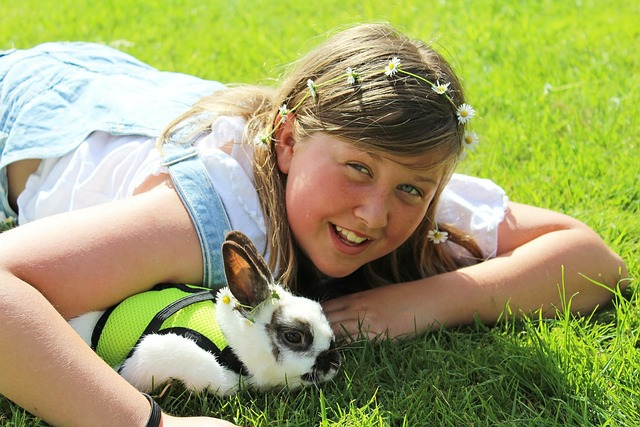 spaying female rabbits helps ensure good pets