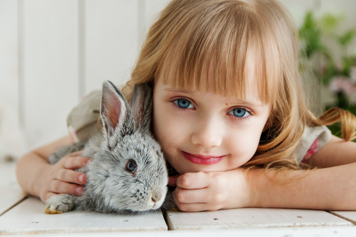 rabbit as adhd support