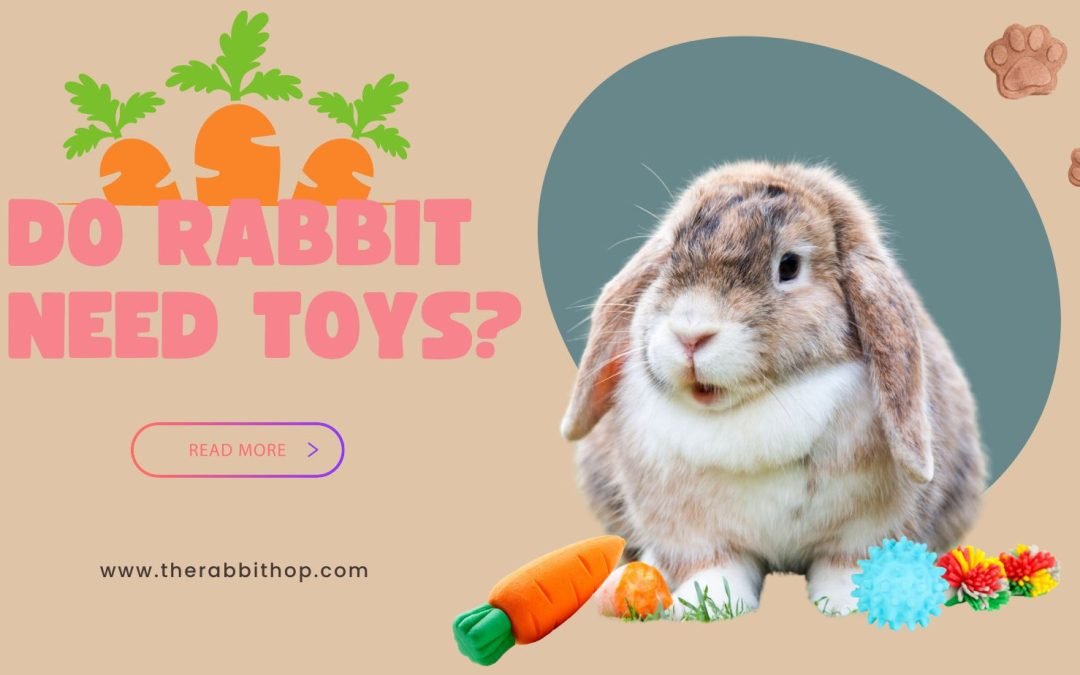 Activities, Games, Sports Archives - The Rabbit Hop