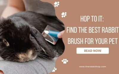 Hop to It: Find the Best Rabbit Brush for Your Pet