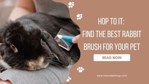 Title-Hop to It Find the Best Rabbit Brush for Your Pet