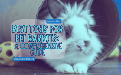 Best Toys for Pet Rabbits: A Comprehensive Guide
