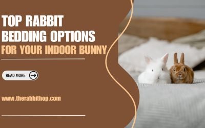 Top Rabbit Bedding Options for Your Indoor Bunny