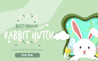 Best Indoor Rabbit Hutch: Top Picks