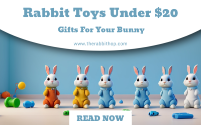 Rabbit Toys Under $20: Gifts For Your Bunny