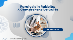 Paralysis in Rabbits