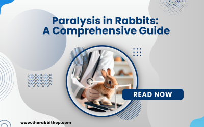 Paralysis in Rabbits: A Comprehensive Guide