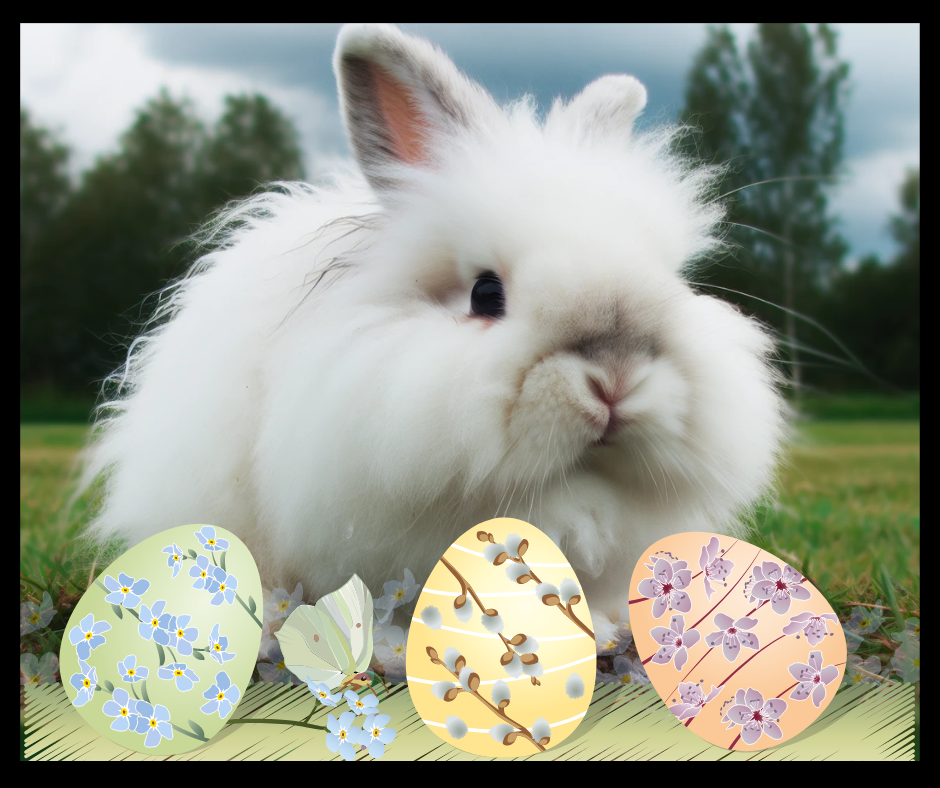 Recognizing UTI Symptoms in Rabbits
