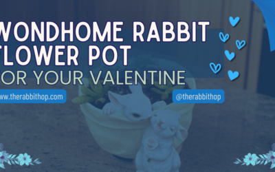 WONDHOME Rabbit Flower Pot for your Valentine