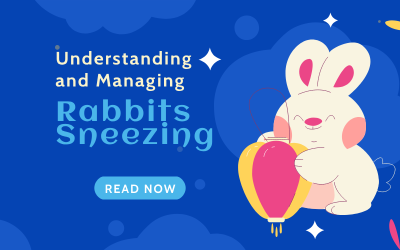 Understanding and Managing Rabbits Sneezing