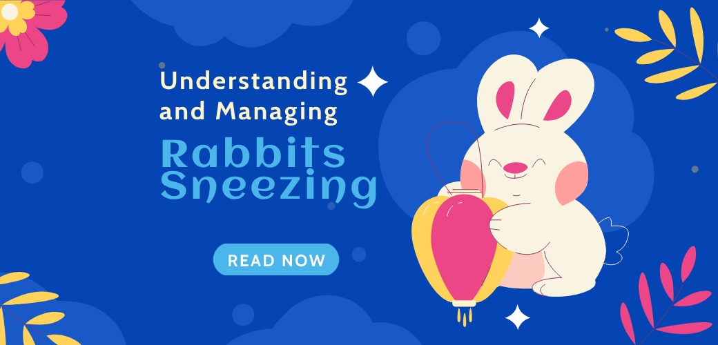 Understanding and Managing Rabbits Sneezing