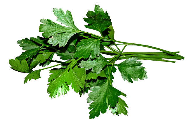 parsley, greens rabbits can eat