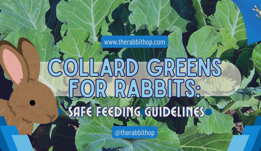 Collard Greens for Rabbits: Safe Feeding Guidelines