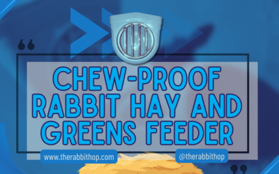 Chew-Proof Rabbit Hay and Greens Feeder