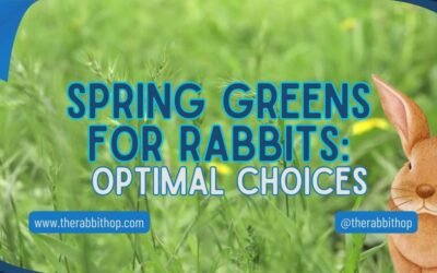 Spring Greens for Rabbits: Optimal Choices