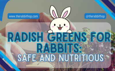 Radish Greens for Rabbits: Safe and Nutritious
