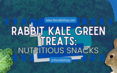 Rabbit Kale Green Treats: Nutritious Snacks