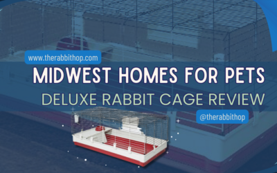 Midwest Homes for Pets Deluxe Rabbit Cage Review
