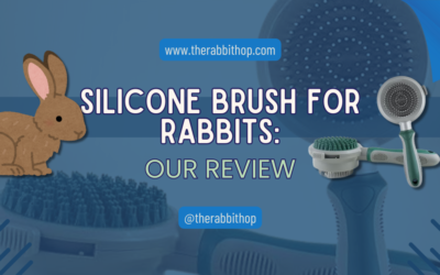 Silicone Brush for Rabbits: Our Review