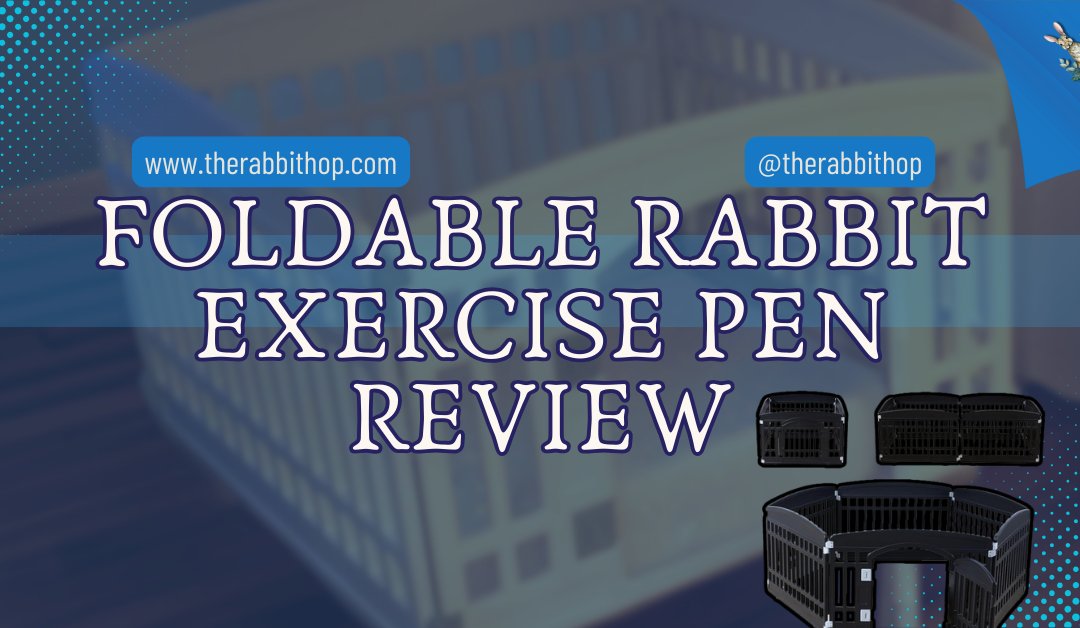 Foldable Rabbit Exercise Pen Review