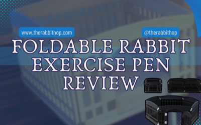Foldable Rabbit Exercise Pen Review