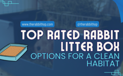 Top Rated Rabbit Litter Box Options for a Clean Habitat