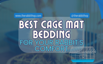 Best Cage Mat Bedding For Your Rabbit’s Comfort