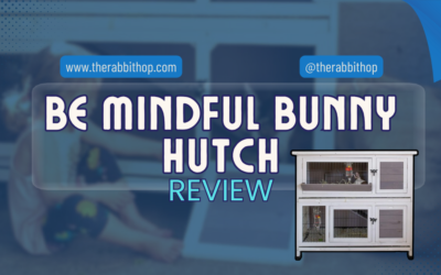 Be Mindful Bunny Hutch Review