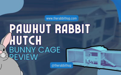 PawHut Rabbit Hutch Bunny Cage Review