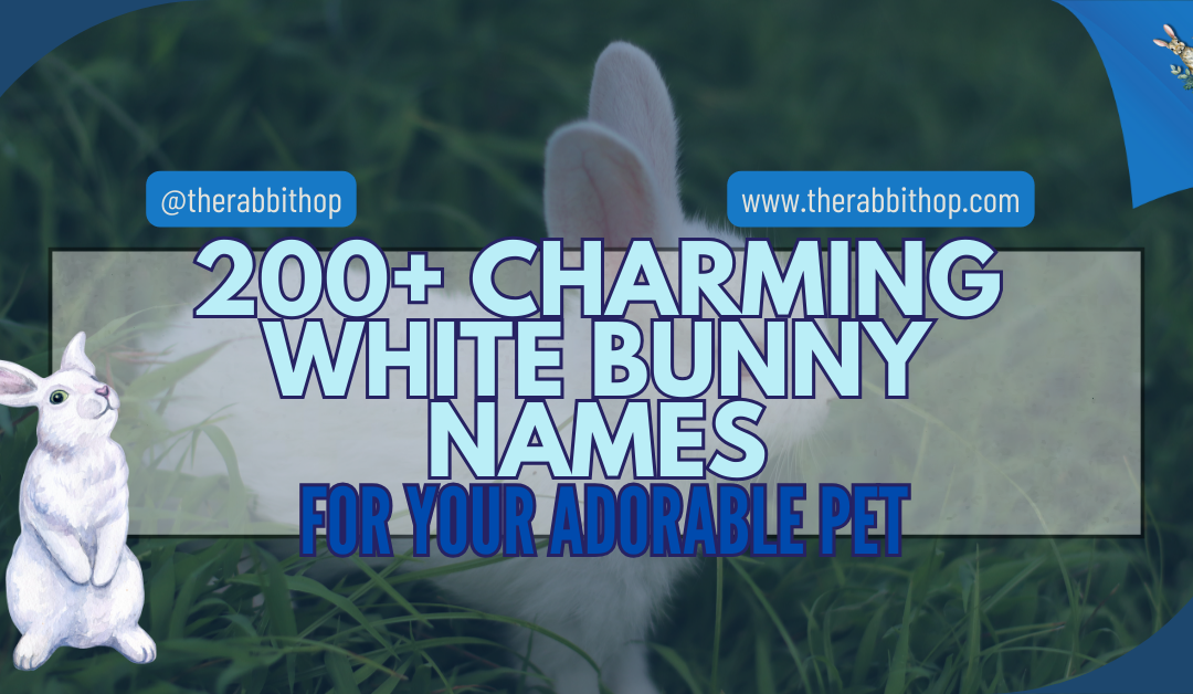 200+ Charming White Bunny Names for Your Adorable Pet