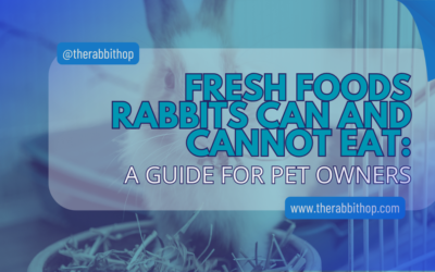 Fresh Foods Rabbits Can And Cannot Eat: A Guide for Pet Owners