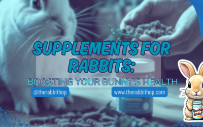 Supplements for Rabbits: Boosting Your Bunny’s Health